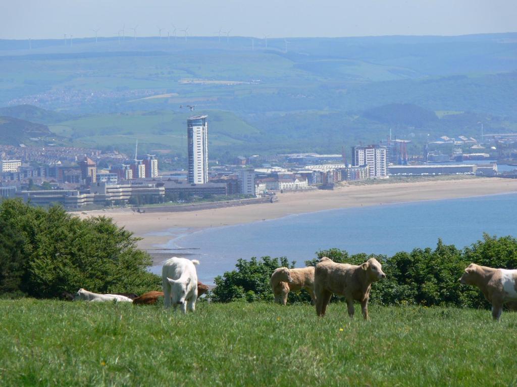 Clyne Farm Centre Villa The Mumbles Buitenkant foto