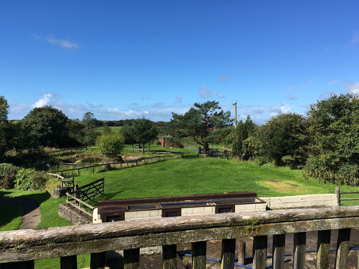 Clyne Farm Centre Villa The Mumbles Buitenkant foto