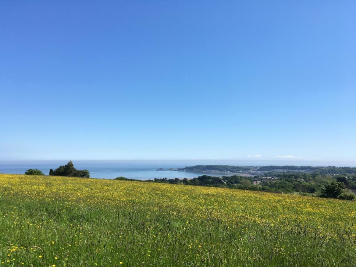 Clyne Farm Centre Villa The Mumbles Buitenkant foto